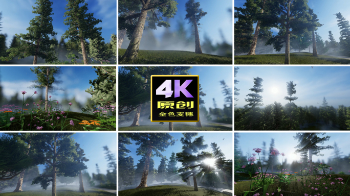 小草野花 松树林小路