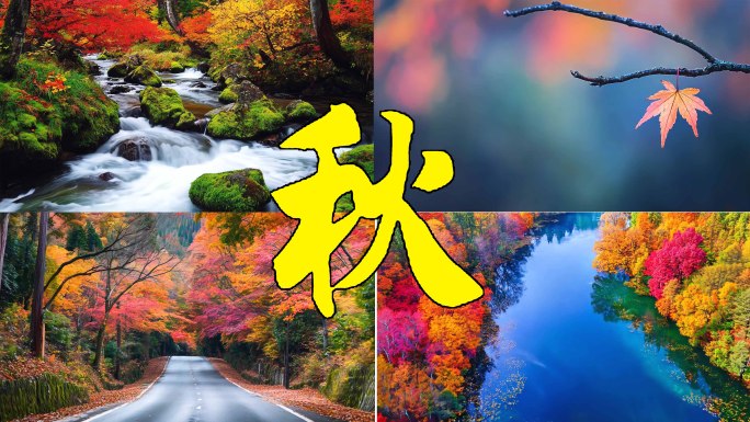 立秋秋分秋天深秋风景风光大自然唯美秋色