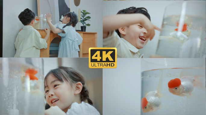 男孩女孩两个小朋友看客厅里的金鱼