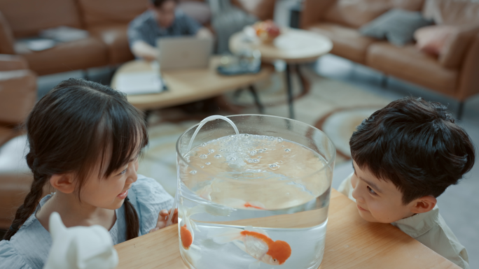 男孩女孩两个小朋友看客厅里的金鱼