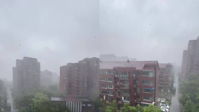 台风贝碧嘉登陆上海，带来狂风暴雨