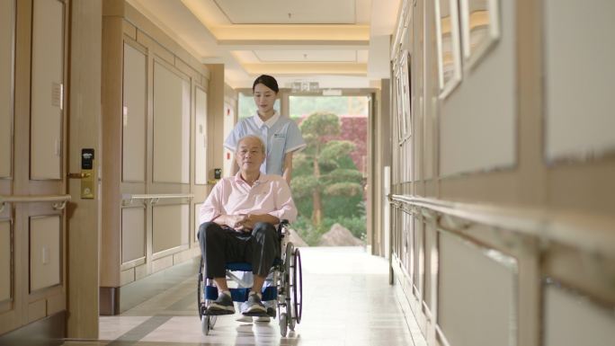 坐轮椅 坐轮椅的老人 医疗保健