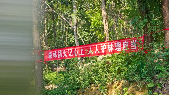 春季森林防火宣传标语 爱林护林宣传标识