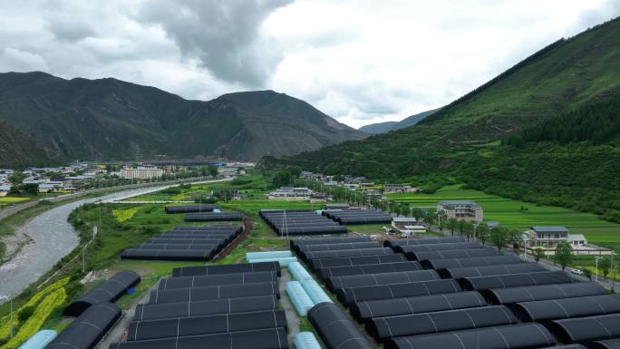 乡村春季油菜种植大棚航拍