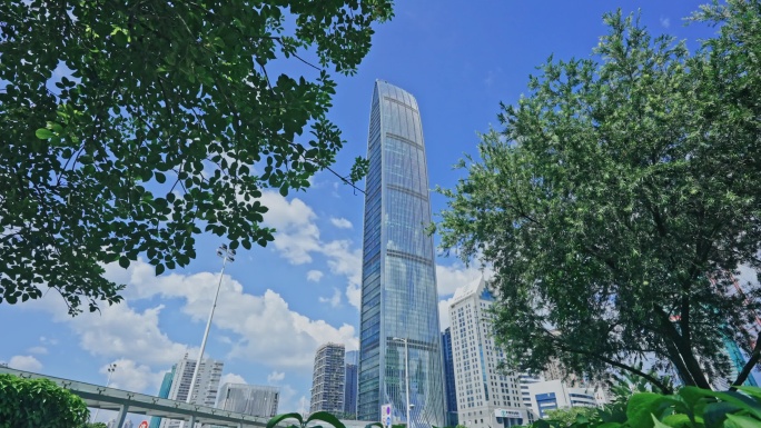 【正版素材】深圳城市高楼大厦8347