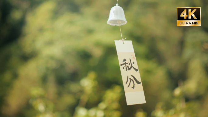 4k秋天节气【秋分】枫叶银杏唯美风景视频
