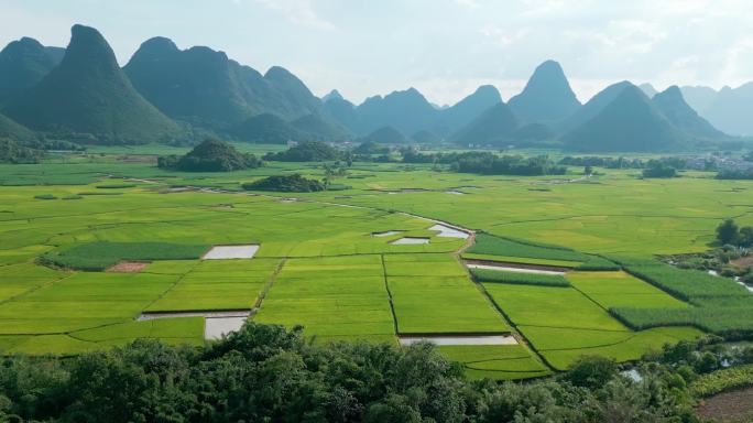 绿色乡村田园田野稻田河流小河弯弯乡村风景