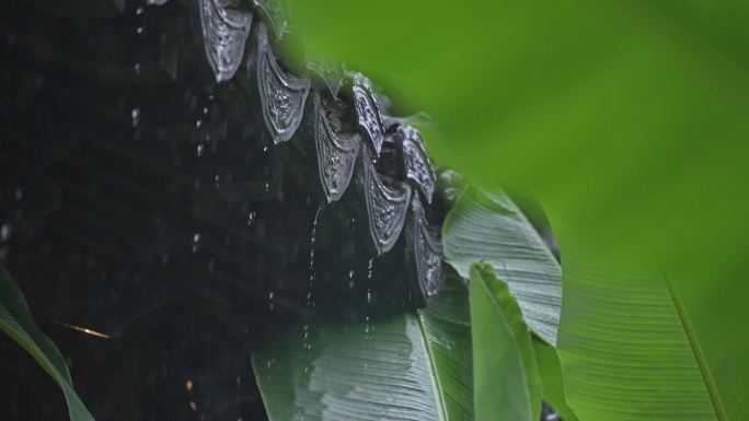 下雨雨滴合集中式园林屋檐雨水雨景