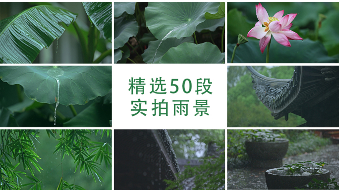 下雨雨滴合集中式园林屋檐雨水雨景