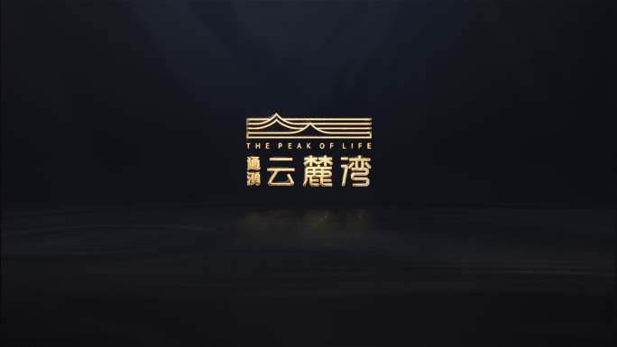 原创水流LOGO标志