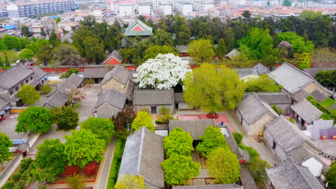 邹城 千年孟府 流苏花开 航拍