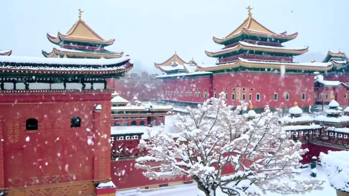 下雪 宫墙 桃花