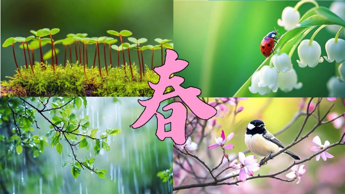 春天立春春意盎然春暖花开自然风景万物复苏