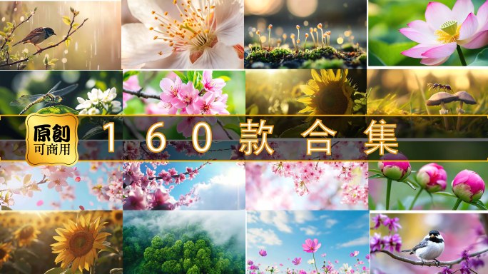 春天立春春意盎然春暖花开自然风景万物复苏