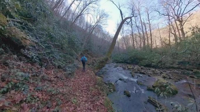 跟随一个人沿着深溪徒步旅行