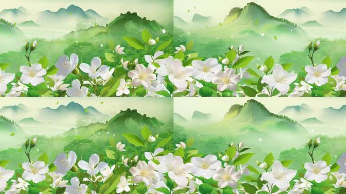 茉莉花开歌曲背景 好一朵美丽的茉莉花