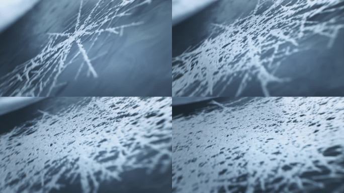 A结冰冰花微观特写冷冻立冬