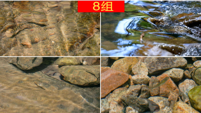夏日阳光小溪流里的小鱼儿特写升格