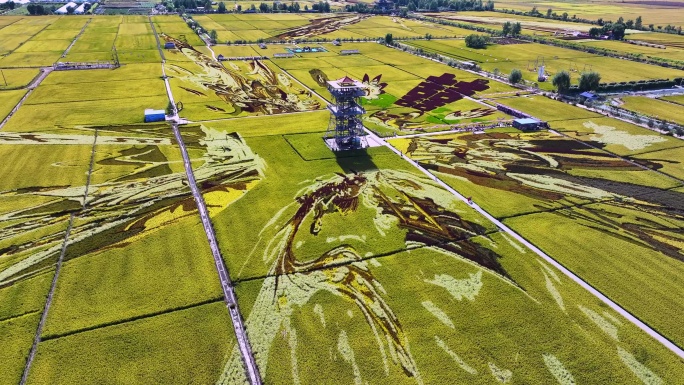 2024沈阳稻梦空间航拍 4k