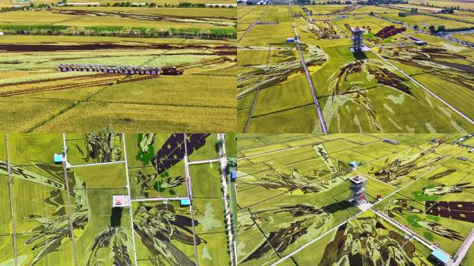 2024沈阳稻梦空间航拍 4k