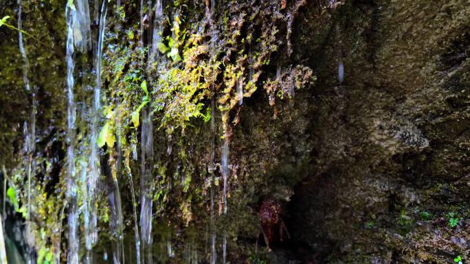 山间瀑布溪水溪流崖壁植物水珠
