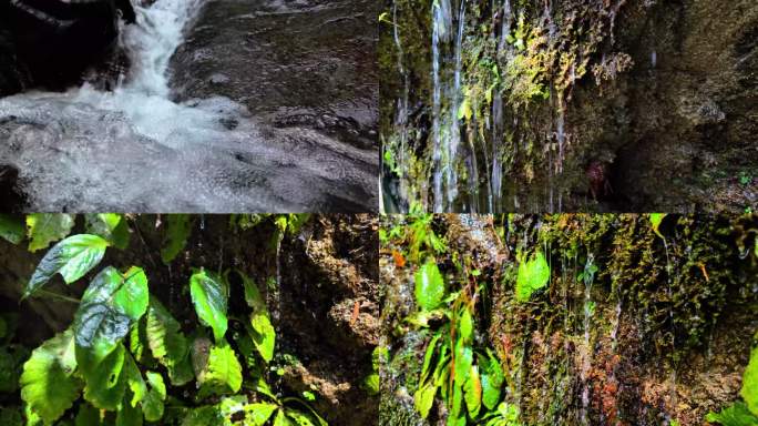 山间瀑布溪水溪流崖壁植物水珠