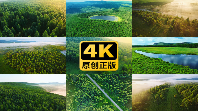 大自然风景森林航拍树林生态绿色环保实拍