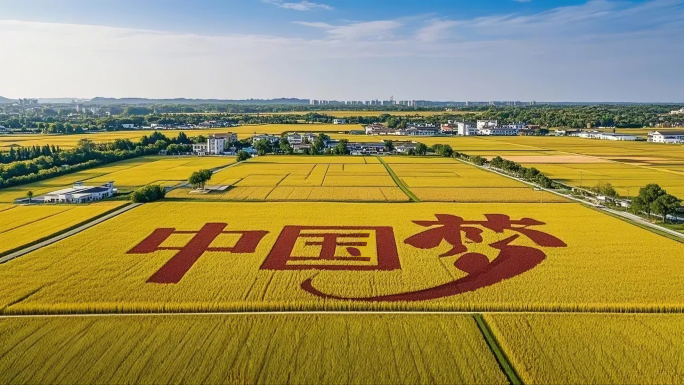 中国梦国庆75周年党建片头 农业稻田三农