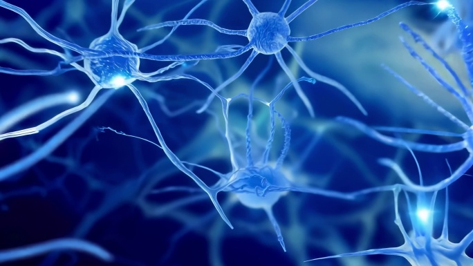 神经细胞场景