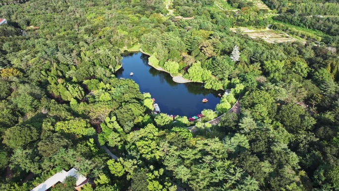 航拍-中山公园八大关