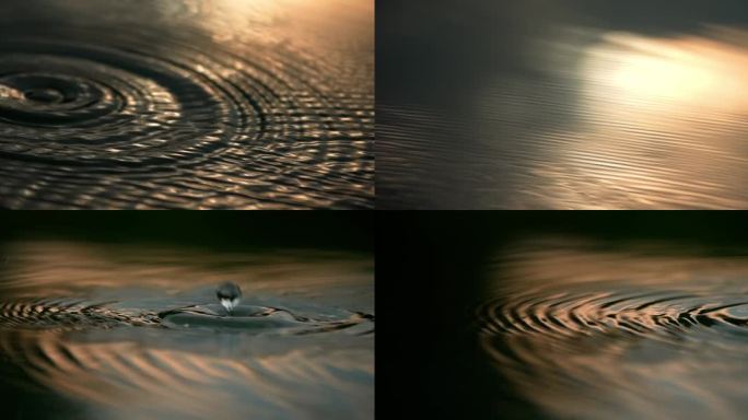 水流体液体水面波纹纹理意境抽象背影