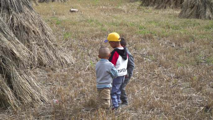 热爱足球 田里玩耍 农村小孩 运动基因