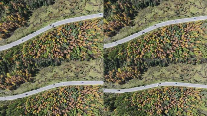 陕西宝鸡黄柏塬