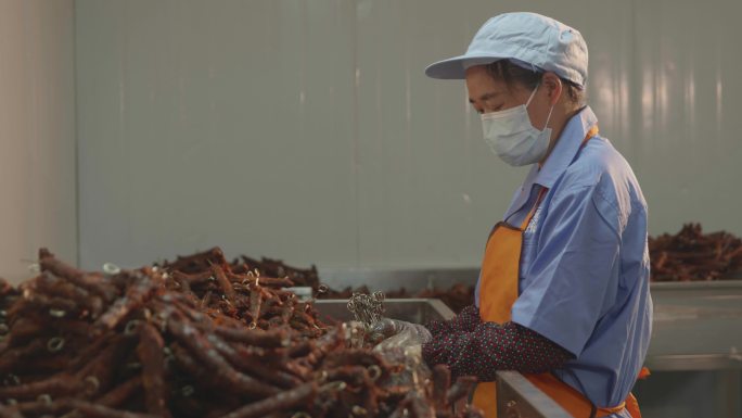 鸭子零食产品工厂卤货鸭脖鸭掌鸭腿生产拌料