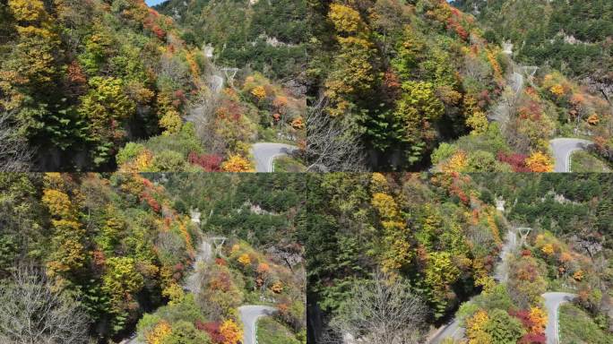 陕西宝鸡黄柏塬