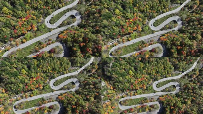 陕西宝鸡黄柏塬