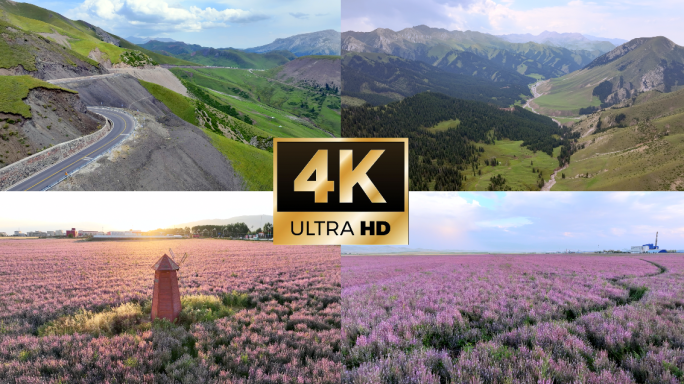 新疆旅行伊昭公路薰衣草花海昭苏紫苏花海