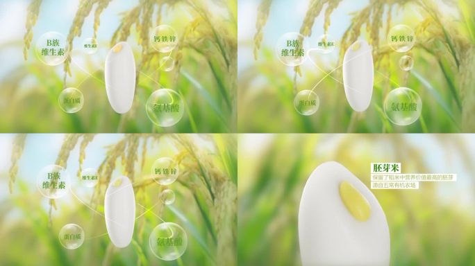 胚芽米营养成份展示