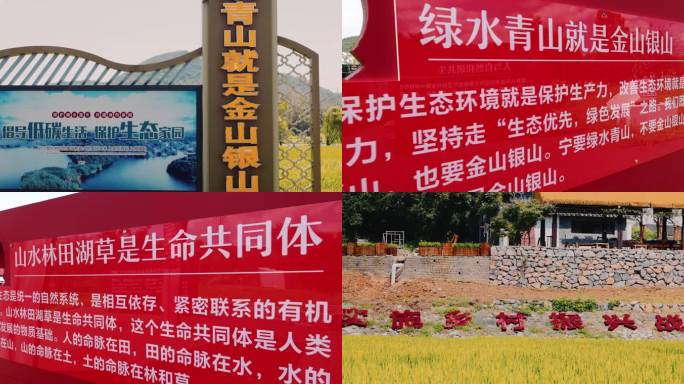 绿水青山就是金山银山