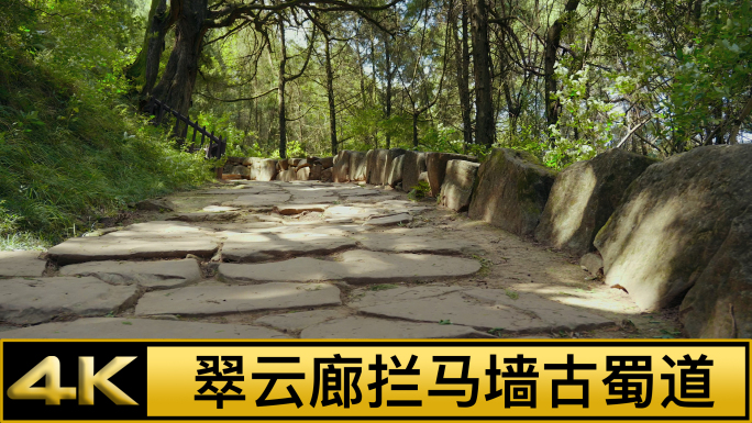 金牛道翠云廊拦马墙古蜀道