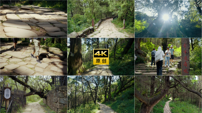 金牛道翠云廊拦马墙古蜀道