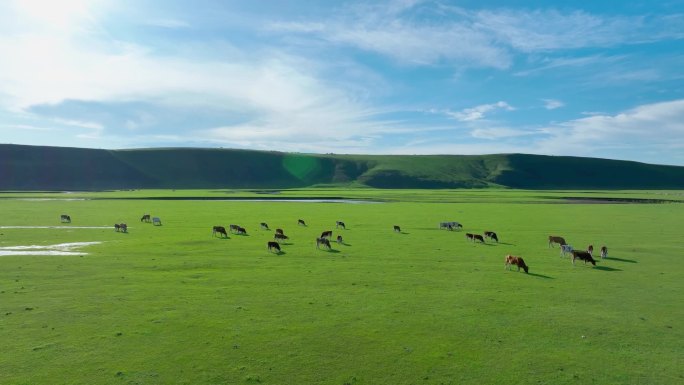 草原天空 草原旅拍 草原航拍