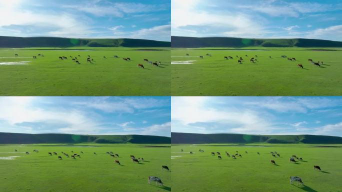 草原天空 草原旅拍 草原航拍