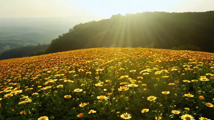 秋分盛景：大自然的璀璨杰作