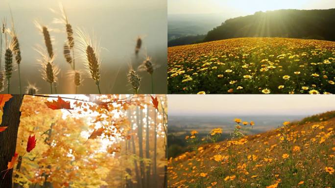 秋分盛景：大自然的璀璨杰作