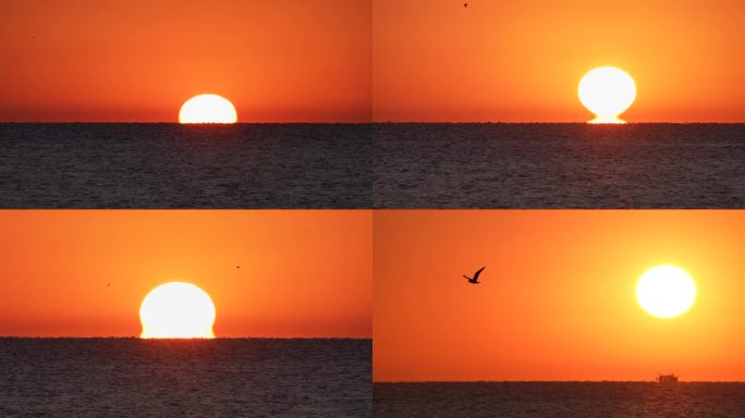 海上日出4k