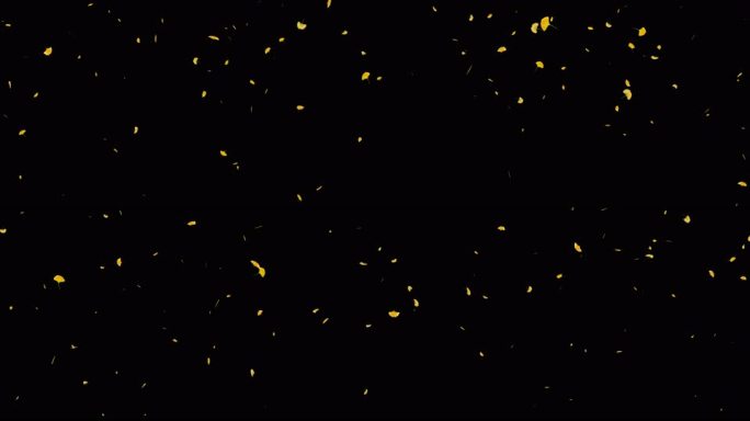 银杏树叶飘落带通道