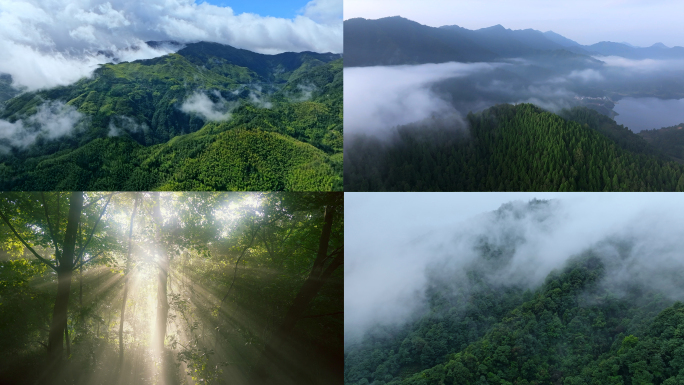 高山森林云雾大自然青山绿水