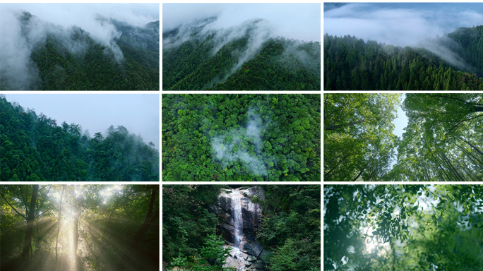 高山森林云雾大自然青山绿水