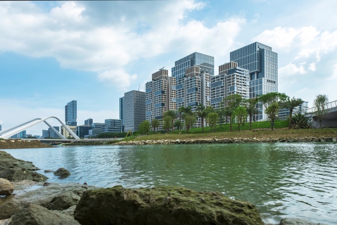 前海石城市潮汐涨落岸边觅食的螃蟹延时摄影